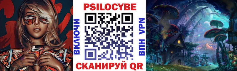 Псилоцибиновые грибы Psilocybine cubensis  Приморск 